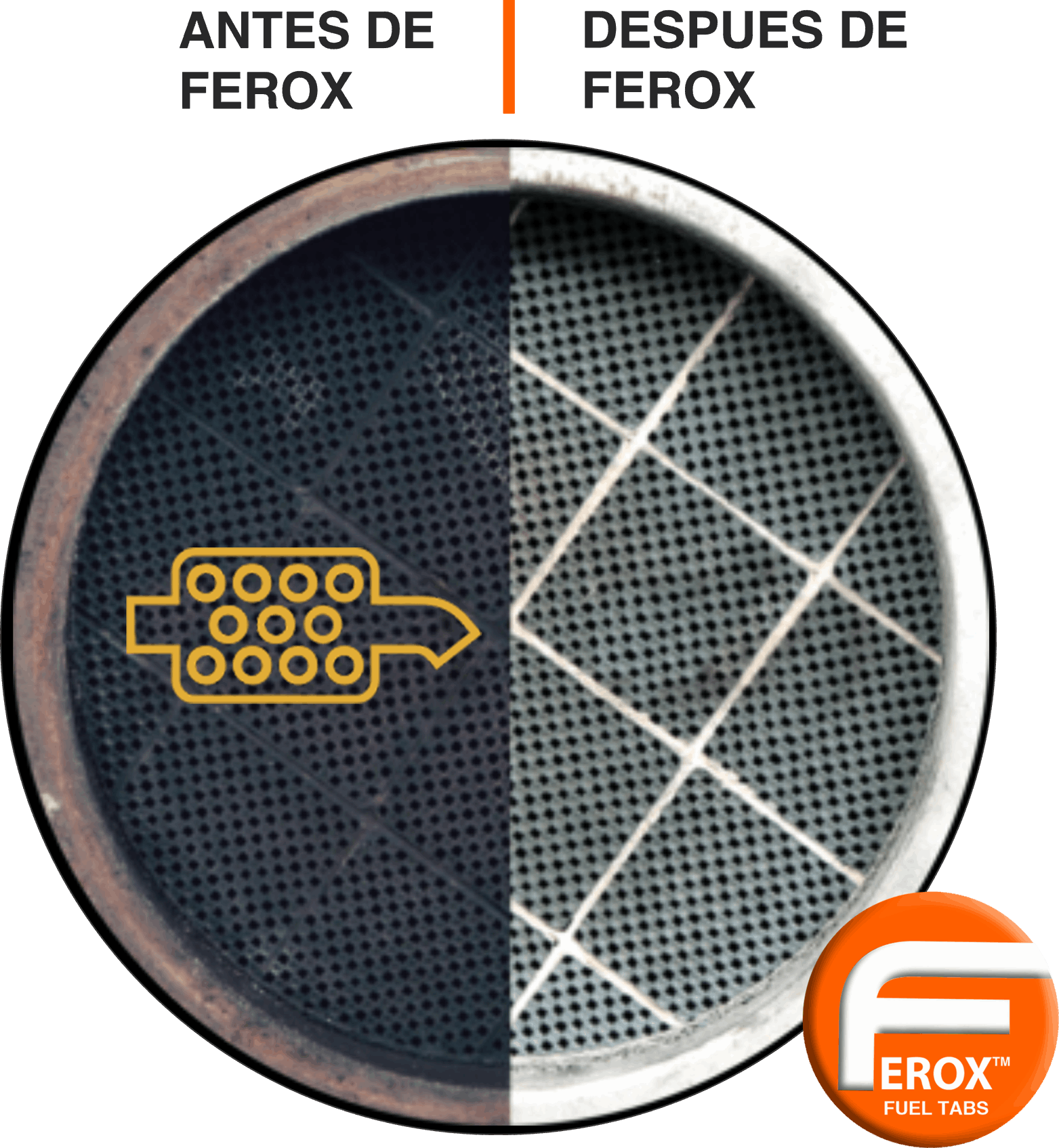 DPF ESPAÑOL FEROX-web